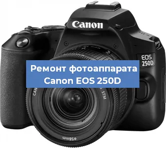 Замена шлейфа на фотоаппарате Canon EOS 250D в Красноярске
